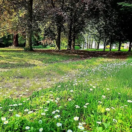 Domaine De L'isle Maniere 10 Pers Апартаменты Pontaubault