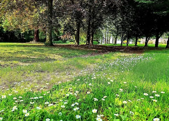 Domaine De L'îsle Manière 10 Pers Appartement Pontaubault
